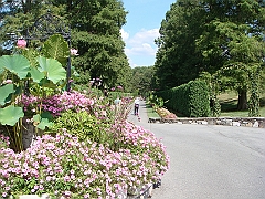 009 Longwood Gardens [2008 August 23]